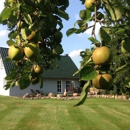 Haus Himmelgrau Mit Eigenem Garten بوتبوس